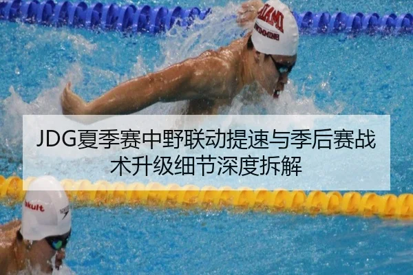 JDG夏季赛中野联动提速与季后赛战术升级细节深度拆解